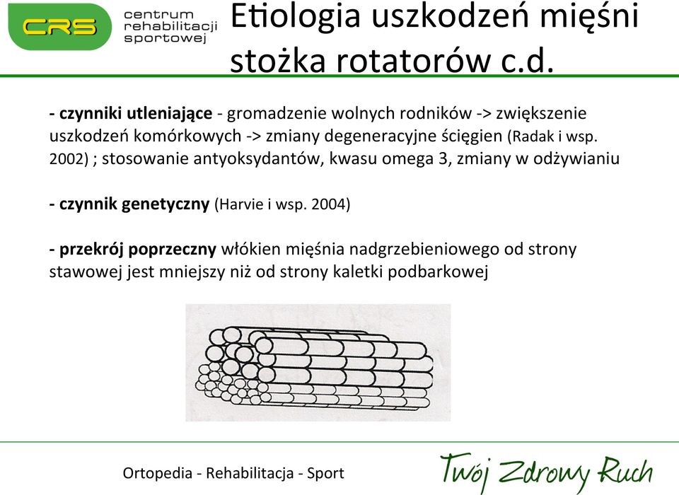 - czynniki utleniające - gromadzenie wolnych rodników - > zwiększenie uszkodzeń komórkowych - > zmiany