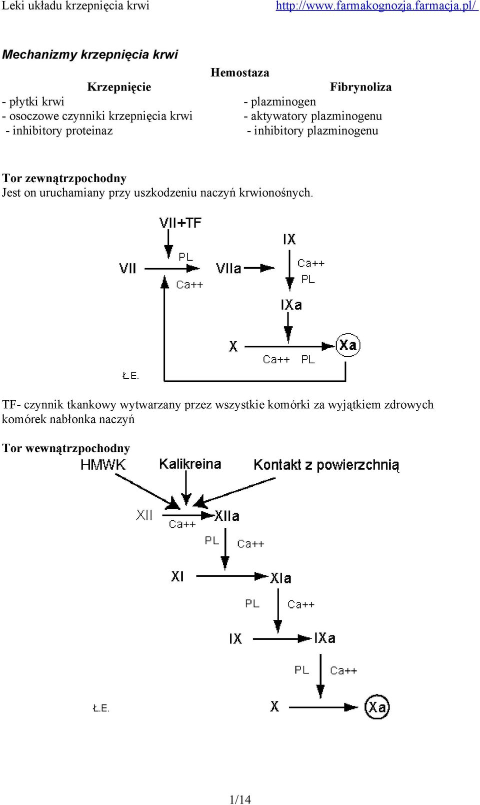 Tor zewnątrzpochodny Jest on uruchamiany przy uszkodzeniu naczyń krwionośnych.