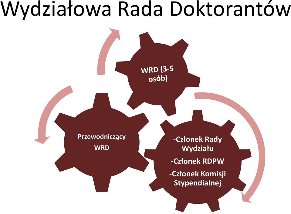 Rady Wydziału -Członek RDPW