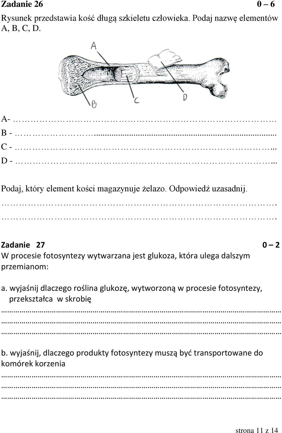 .. Zadanie 27 0 2 W procesie fotosyntezy wytwarzana jest glukoza, która ulega dalszym przemianom: a.