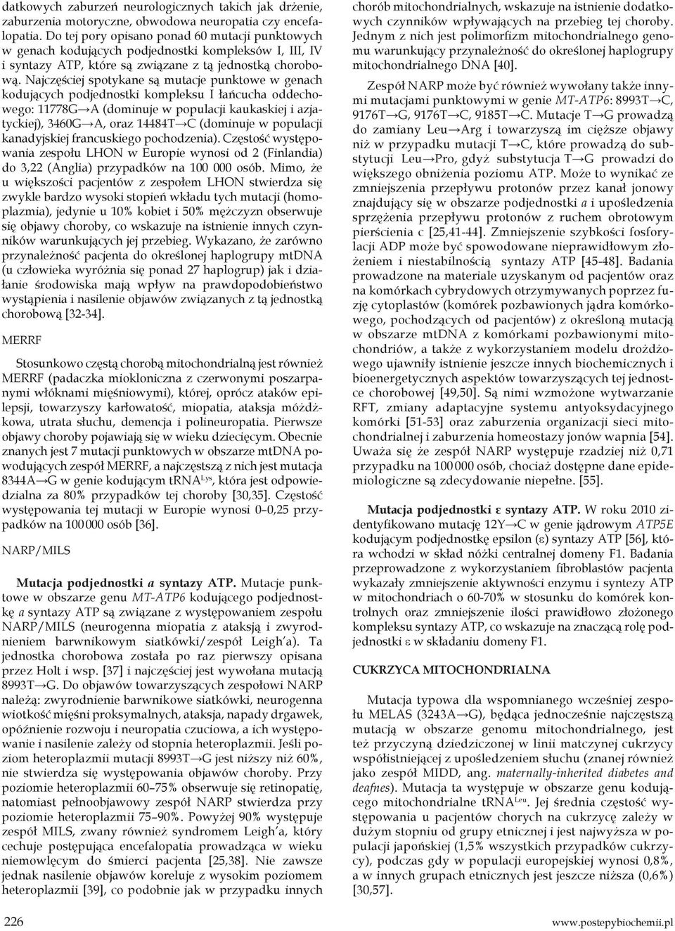 Najczęściej spotykane są mutacje punktowe w genach kodujących podjednostki kompleksu I łańcucha oddechowego: 11778G A (dominuje w populacji kaukaskiej i azjatyckiej), 3460G A, oraz 14484T C (dominuje