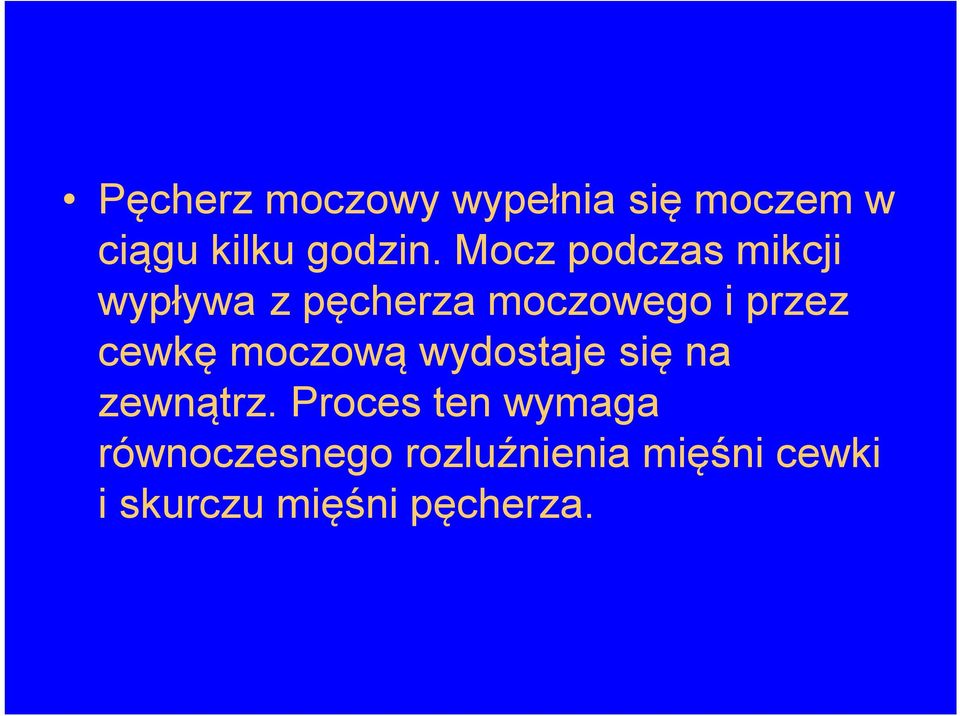 cewkę moczową wydostaje się na zewnątrz.