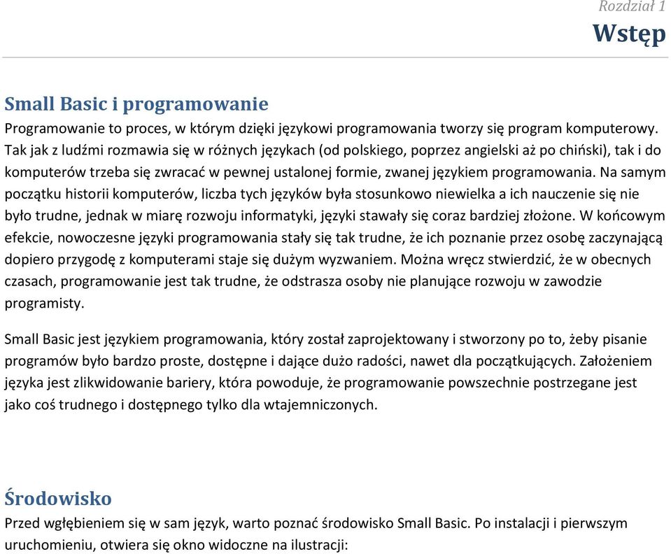 Na samym początku historii komputerów, liczba tych języków była stosunkowo niewielka a ich nauczenie się nie było trudne, jednak w miarę rozwoju informatyki, języki stawały się coraz bardziej złożone.