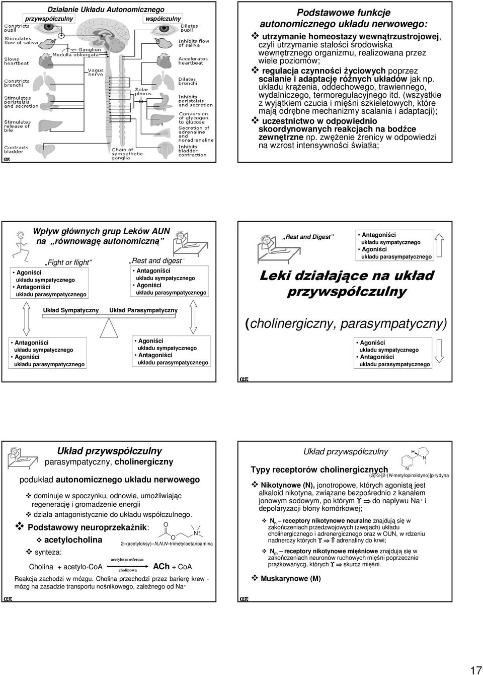 układu krąŝenia, oddechowego, trawiennego, wydalniczego, termoregulacyjnego itd.