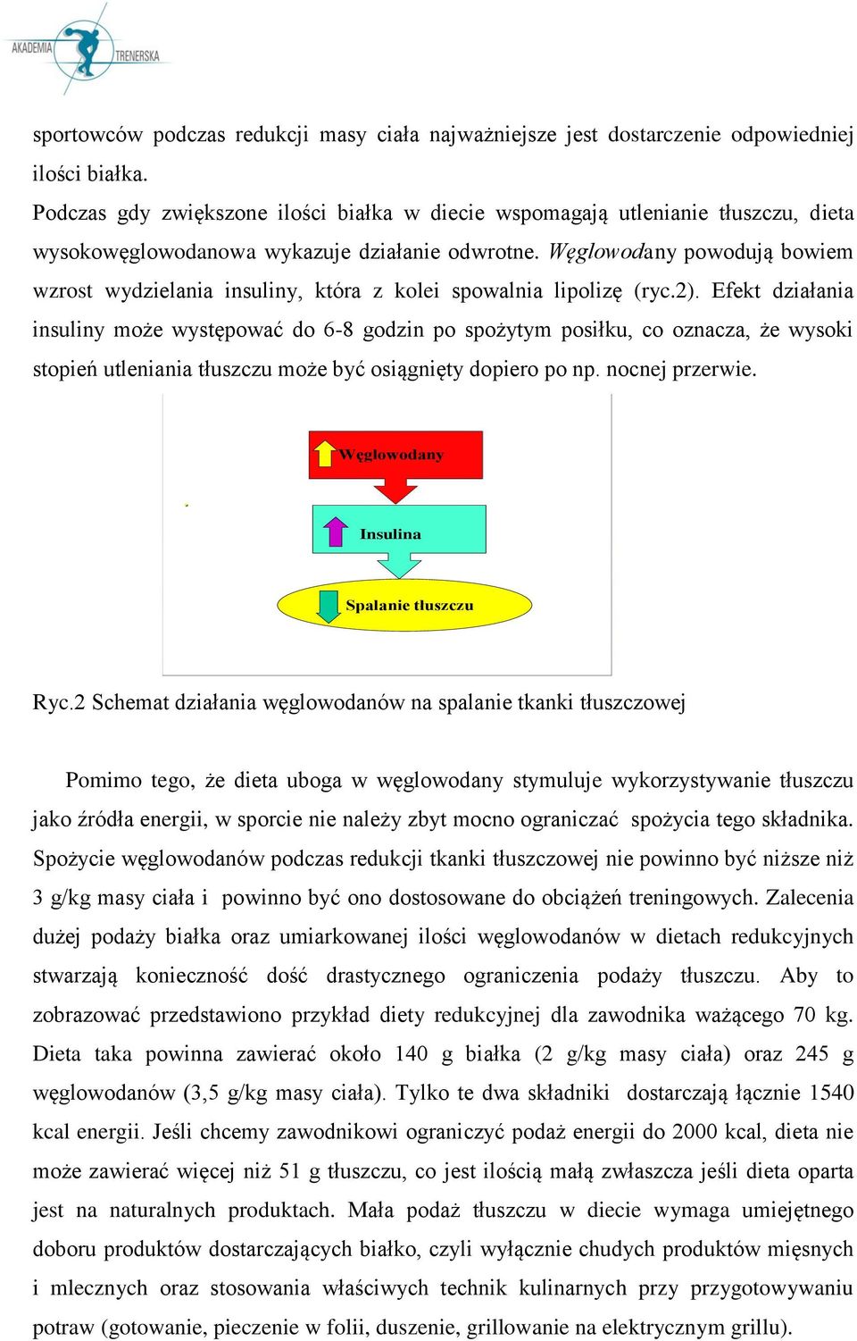 Węglowodany powodują bowiem wzrost wydzielania insuliny, która z kolei spowalnia lipolizę (ryc.2).