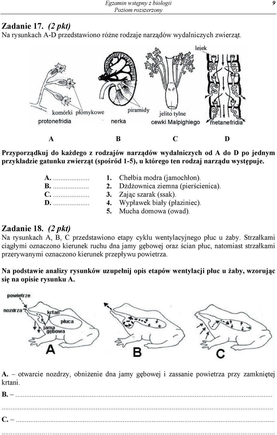 B.... 2. Dżdżownica ziemna (pierścienica). C.... 3. Zając szarak (ssak). D.... 4. Wypławek biały (płaziniec). 5. Mucha domowa (owad). Zadanie 18.