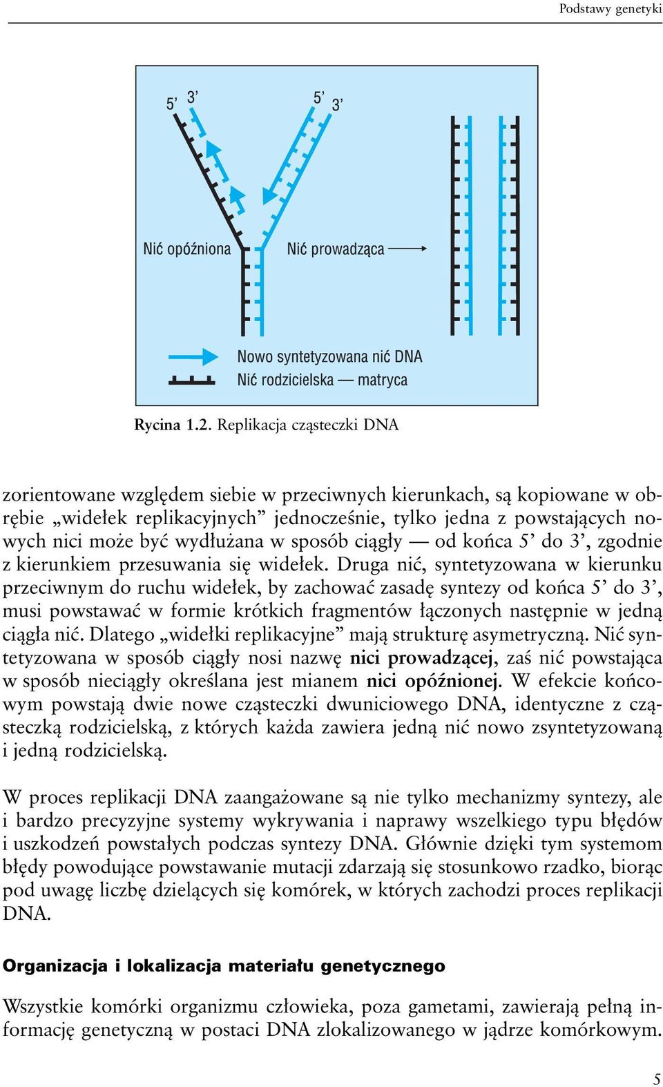 w sposób ciągły od końca 5 do 3, zgodnie z kierunkiem przesuwania się widełek.