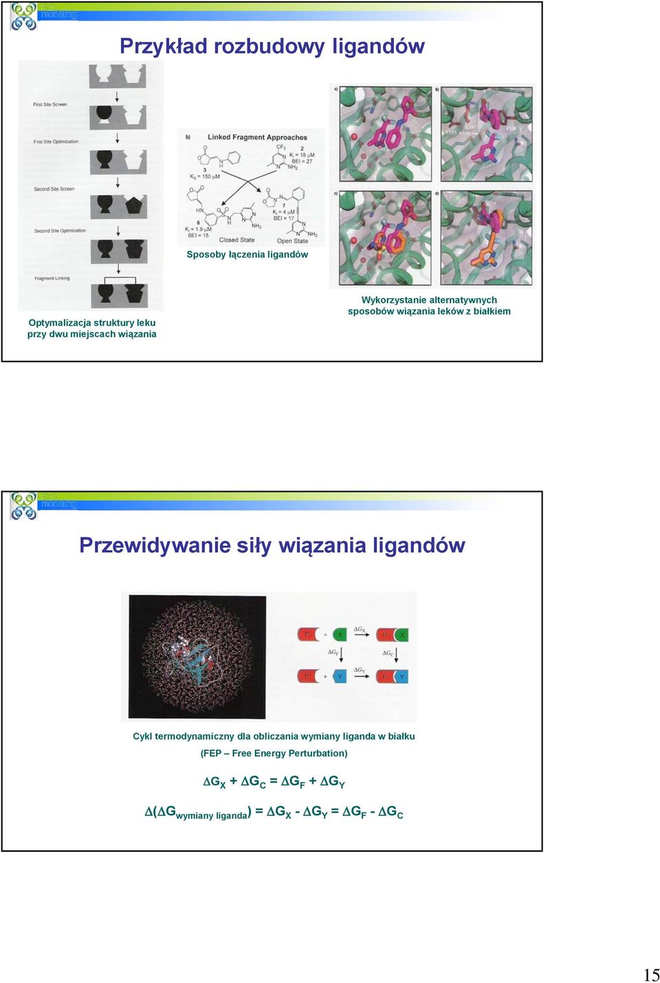 Przewidywanie siły wiązania ligandów Cykl termodynamiczny dla obliczania wymiany liganda w