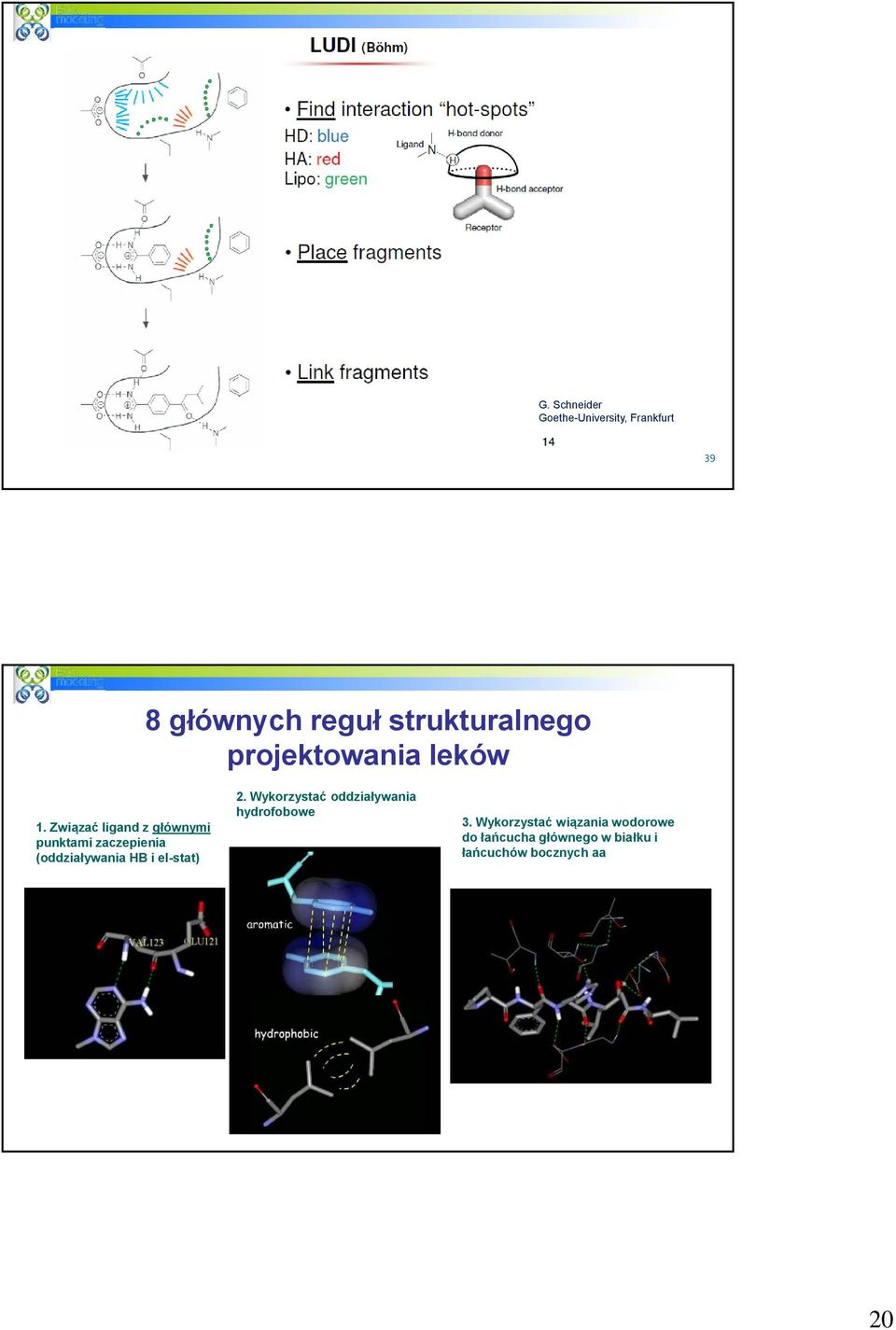 Związać ligand z głównymi punktami zaczepienia (oddziaływania HB i el-stat)