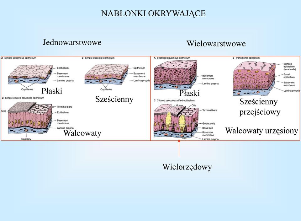 Płaski Sześcienny przejściowy