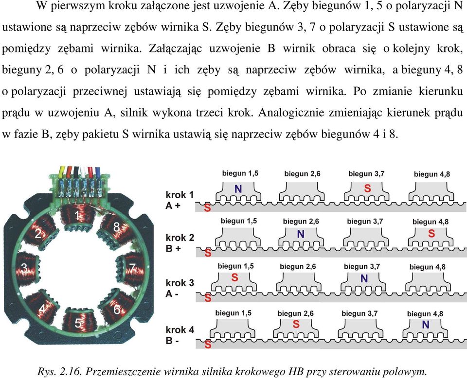 Załączając uzwojenie B wirnik obraca się o kolejny krok, bieguny 2, 6 o polaryzacji N i ich zęby są naprzeciw zębów wirnika, a bieguny 4, 8 o polaryzacji przeciwnej