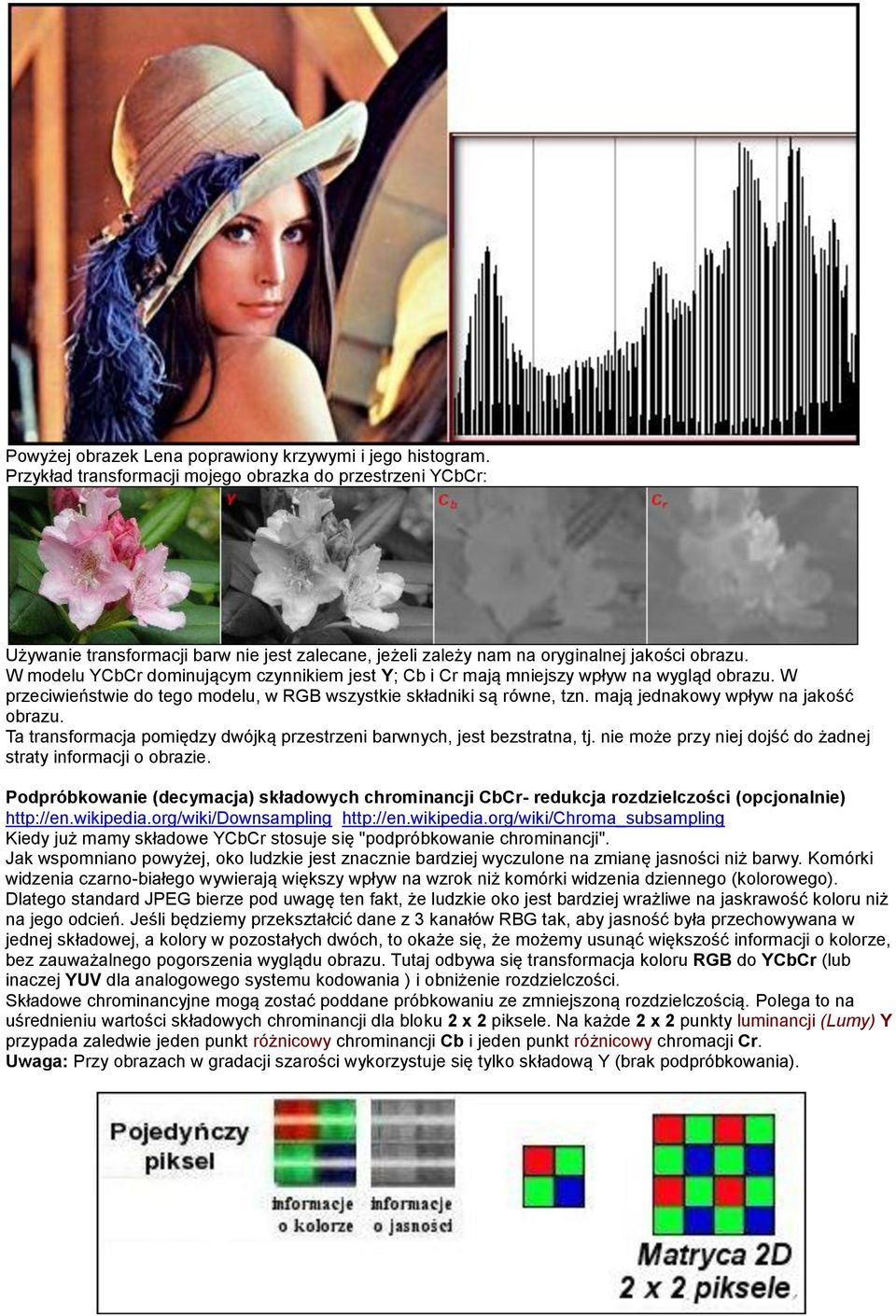 W modelu YCbCr dominującym czynnikiem jest Y; Cb i Cr mają mniejszy wpływ na wygląd obrazu. W przeciwieństwie do tego modelu, w RGB wszystkie składniki są równe, tzn.