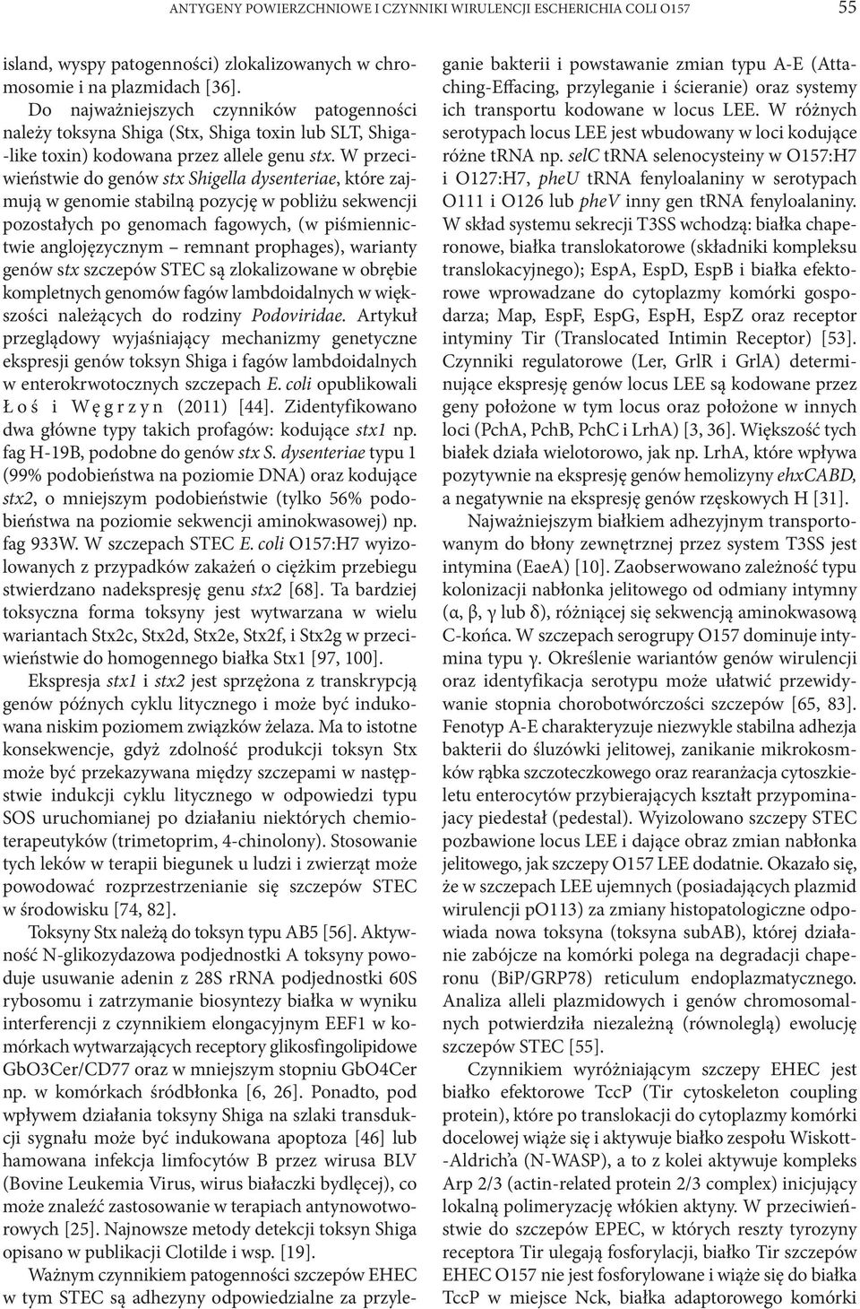 W przeciwieństwie do genów stx Shigella dysenteriae, które zajmują w genomie stabilną pozycję w pobliżu sekwencji pozostałych po genomach fagowych, (w piśmiennictwie anglojęzycznym remnant