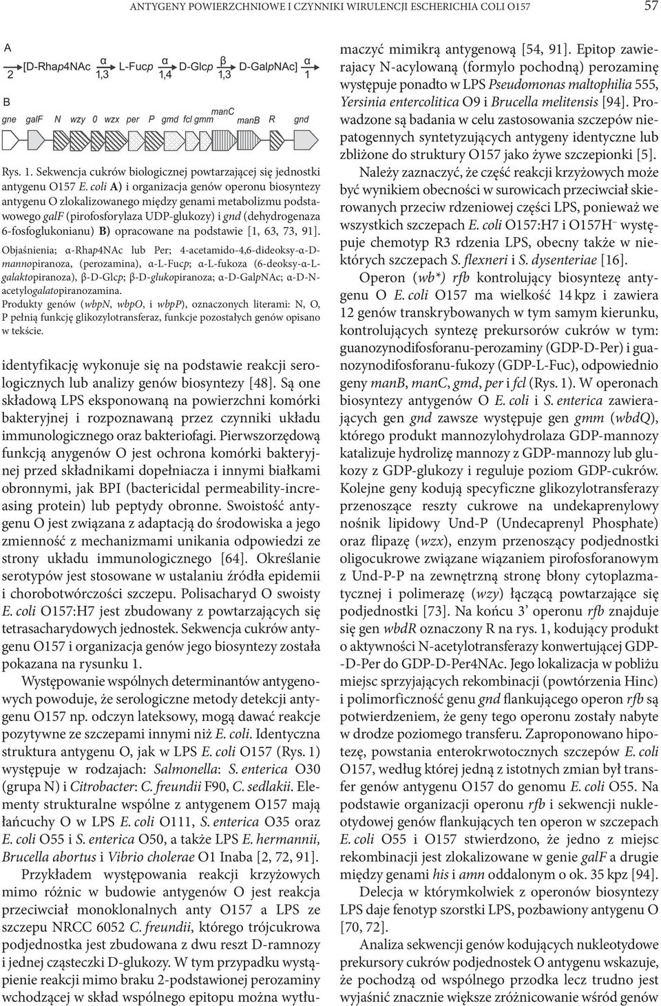 opracowane na podstawie [1, 63, 73, 91].