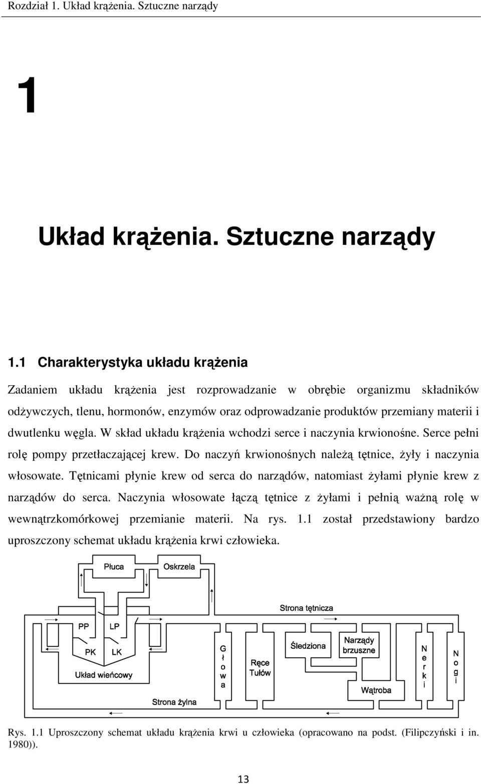 1 Charakterystyka układu krążenia Zadaniem układu krążenia jest rozprowadzanie w obrębie organizmu składników odżywczych, tlenu, hormonów, enzymów oraz odprowadzanie produktów przemiany materii i