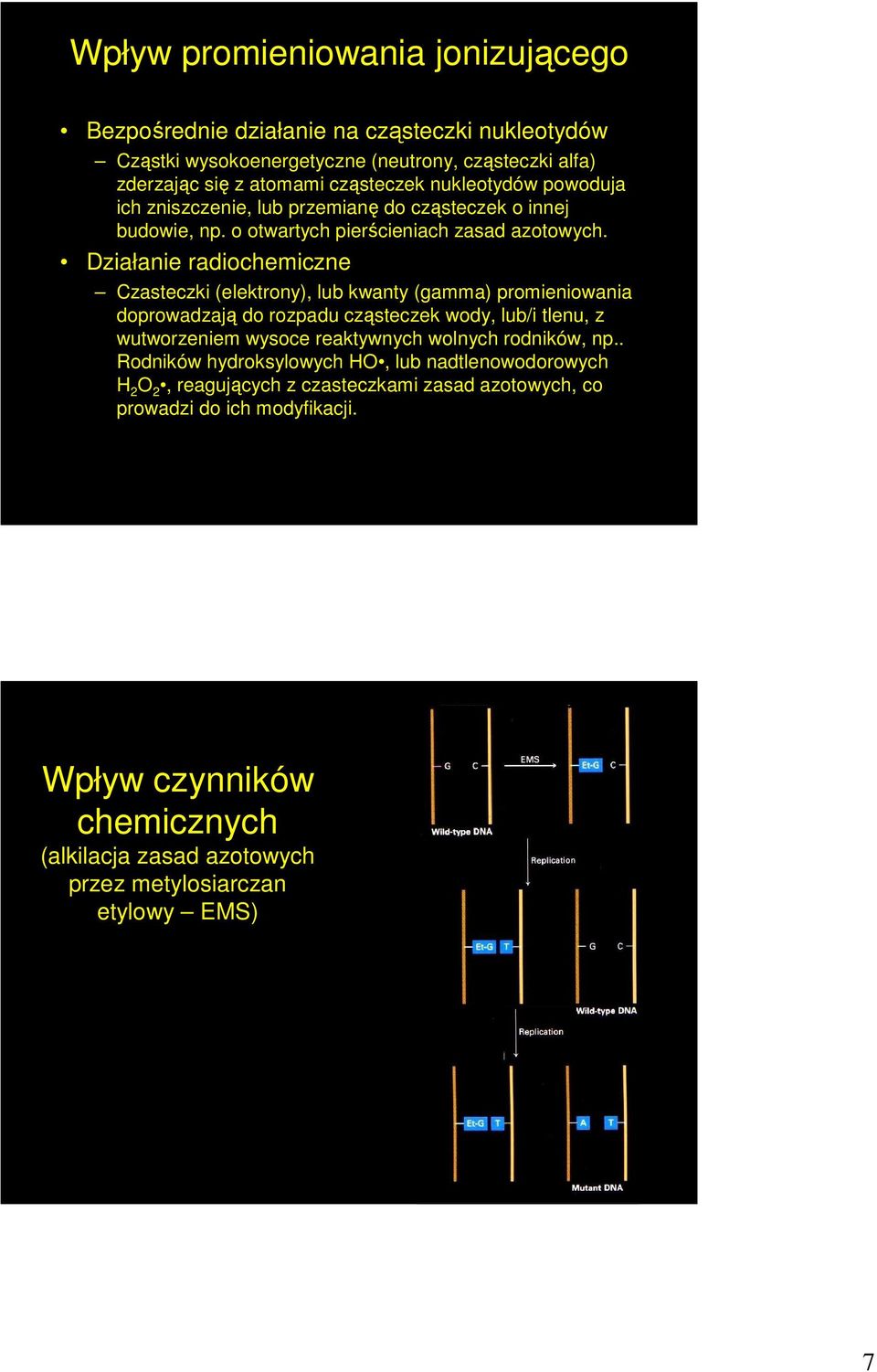 Działanie radiochemiczne Czasteczki (elektrony), lub kwanty (gamma) promieniowania doprowadzają do rozpadu cząsteczek wody, lub/i tlenu, z wutworzeniem wysoce reaktywnych wolnych