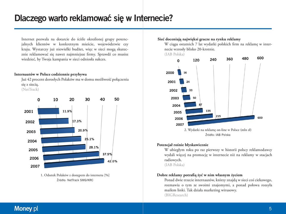 Sieć doceniają najwięksi gracze na rynku reklamy W ciągu ostatnich 7 lat wydatki polskich firm na reklamę w internecie wzrosły blisko 20-krotnie.