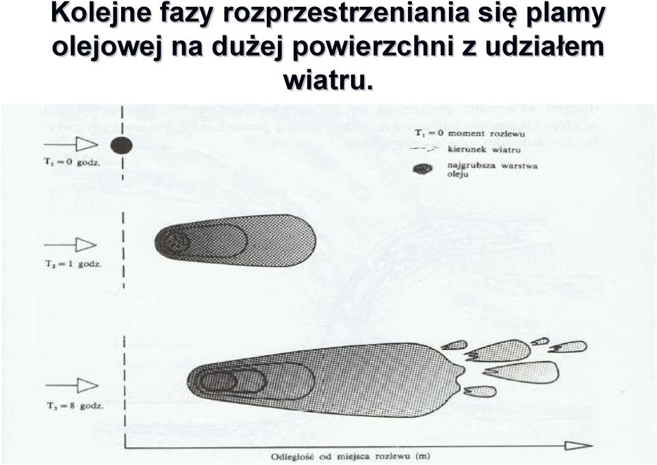 plamy olejowej na