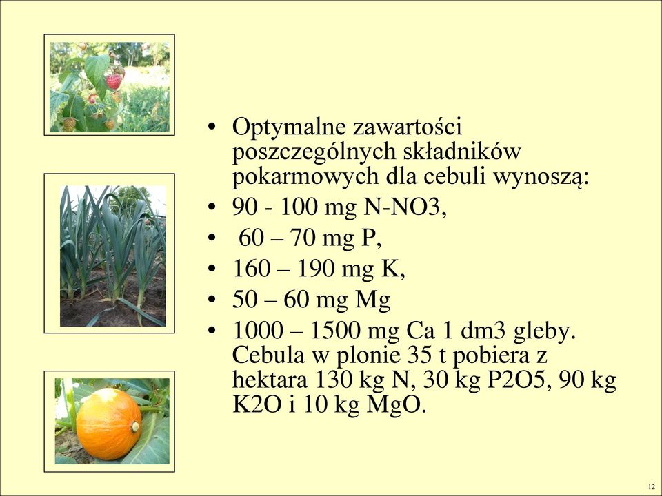 60 mg Mg 1000 1500 mg Ca 1 dm3 gleby.