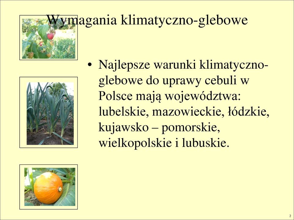 mają województwa: lubelskie, mazowieckie,