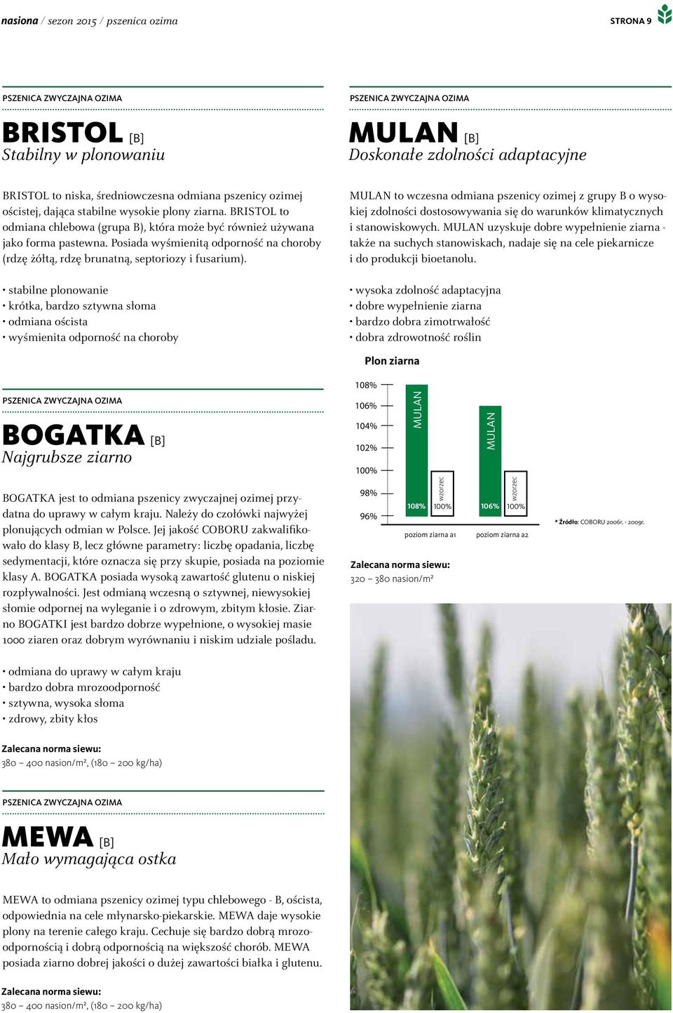 Posiada wyśmienitą odporność na choroby (rdzę żółtą, rdzę brunatną, septoriozy i fusarium).