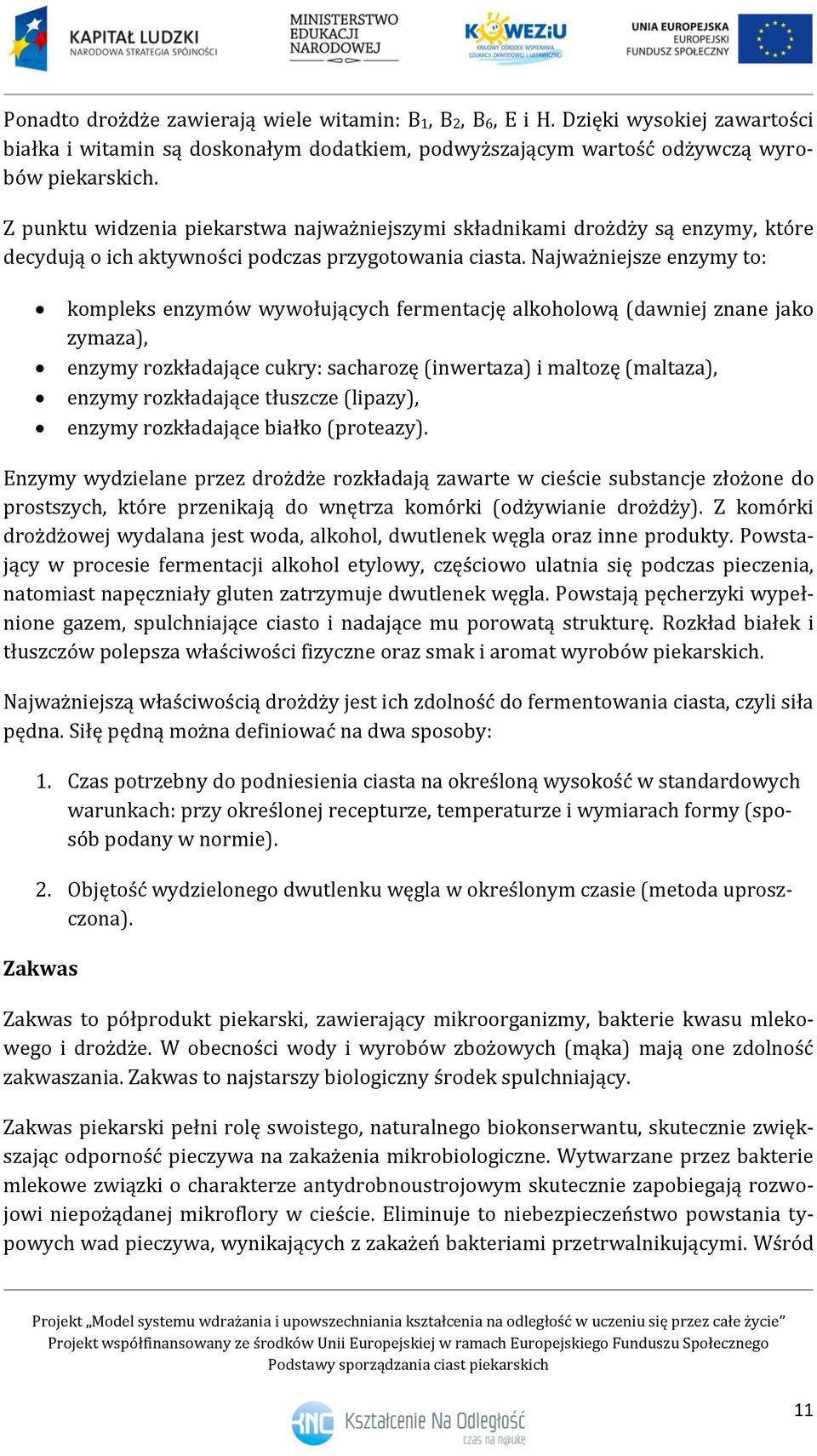 Najważniejsze enzymy to: kompleks enzymów wywołujących fermentację alkoholową (dawniej znane jako zymaza), enzymy rozkładające cukry: sacharozę (inwertaza) i maltozę (maltaza), enzymy rozkładające