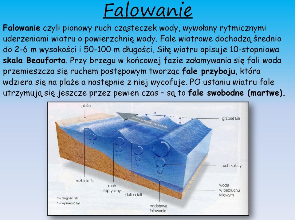 Przy brzegu w końcowej fazie załamywania się fali woda przemieszcza się ruchem postępowym tworząc fale przyboju, która