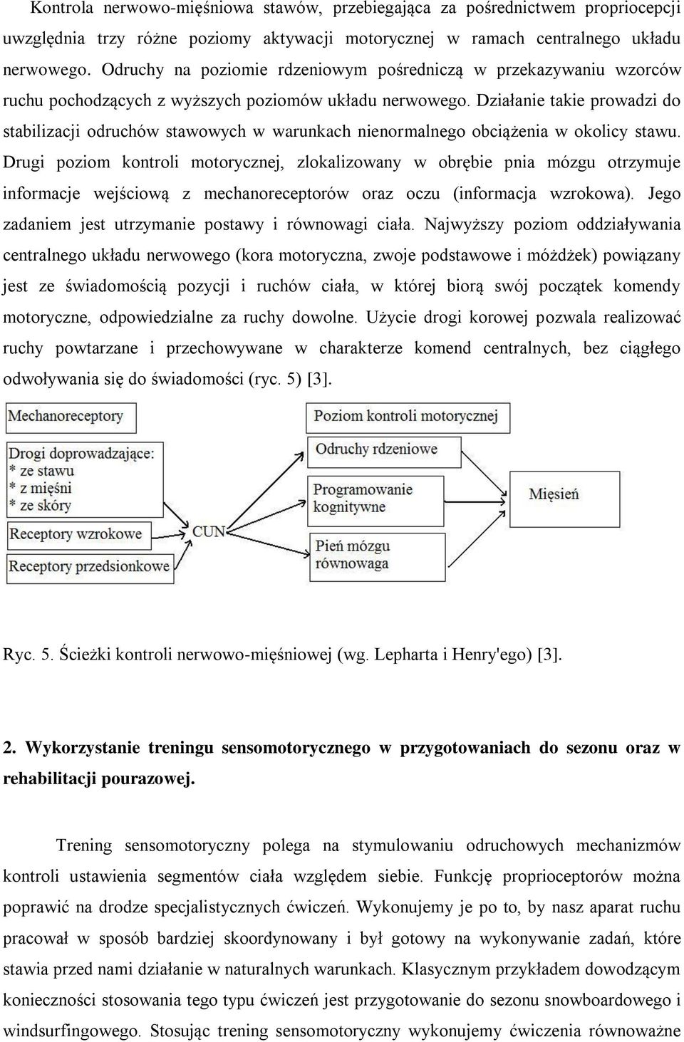 Działanie takie prowadzi do stabilizacji odruchów stawowych w warunkach nienormalnego obciążenia w okolicy stawu.