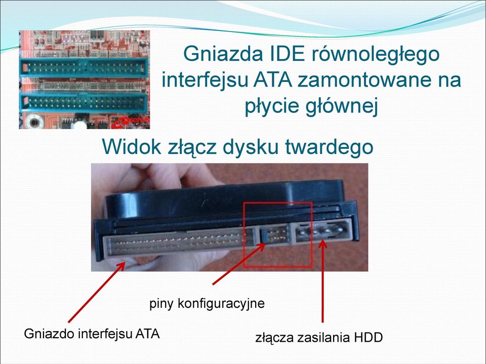złącz dysku twardego piny
