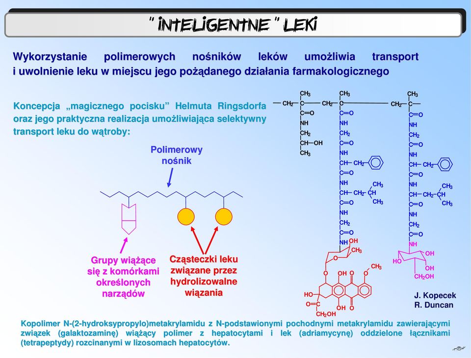 wątroby: Polimerowy nośnik ząsteczki leku związane przez hydrolizowalne wiązania 2 J. Kopecek R.