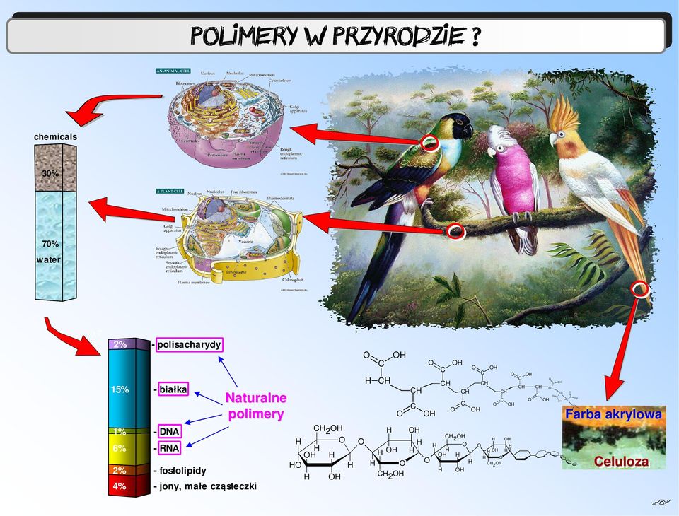 w medycynie (I) chemicals 30% 70% water 0,7 2% - polisacharydy 15% -