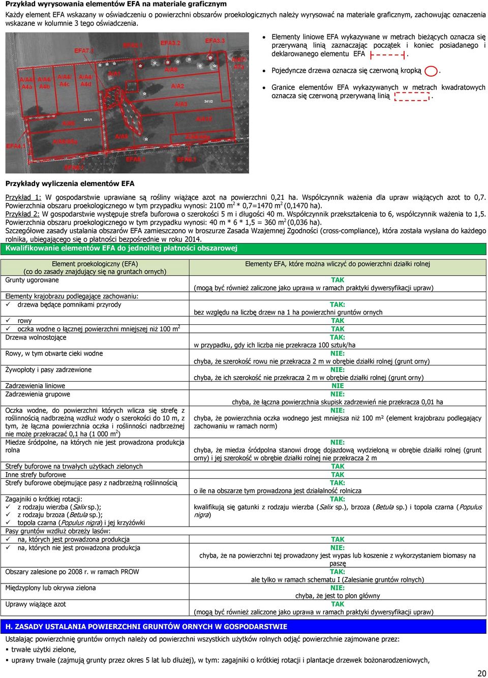 Elementy liniowe EFA wykazywane w metrach bieżących oznacza się przerywaną linią zaznaczając początek i koniec posiadanego i deklarowanego elementu EFA. Pojedyncze drzewa oznacza się czerwoną kropką.