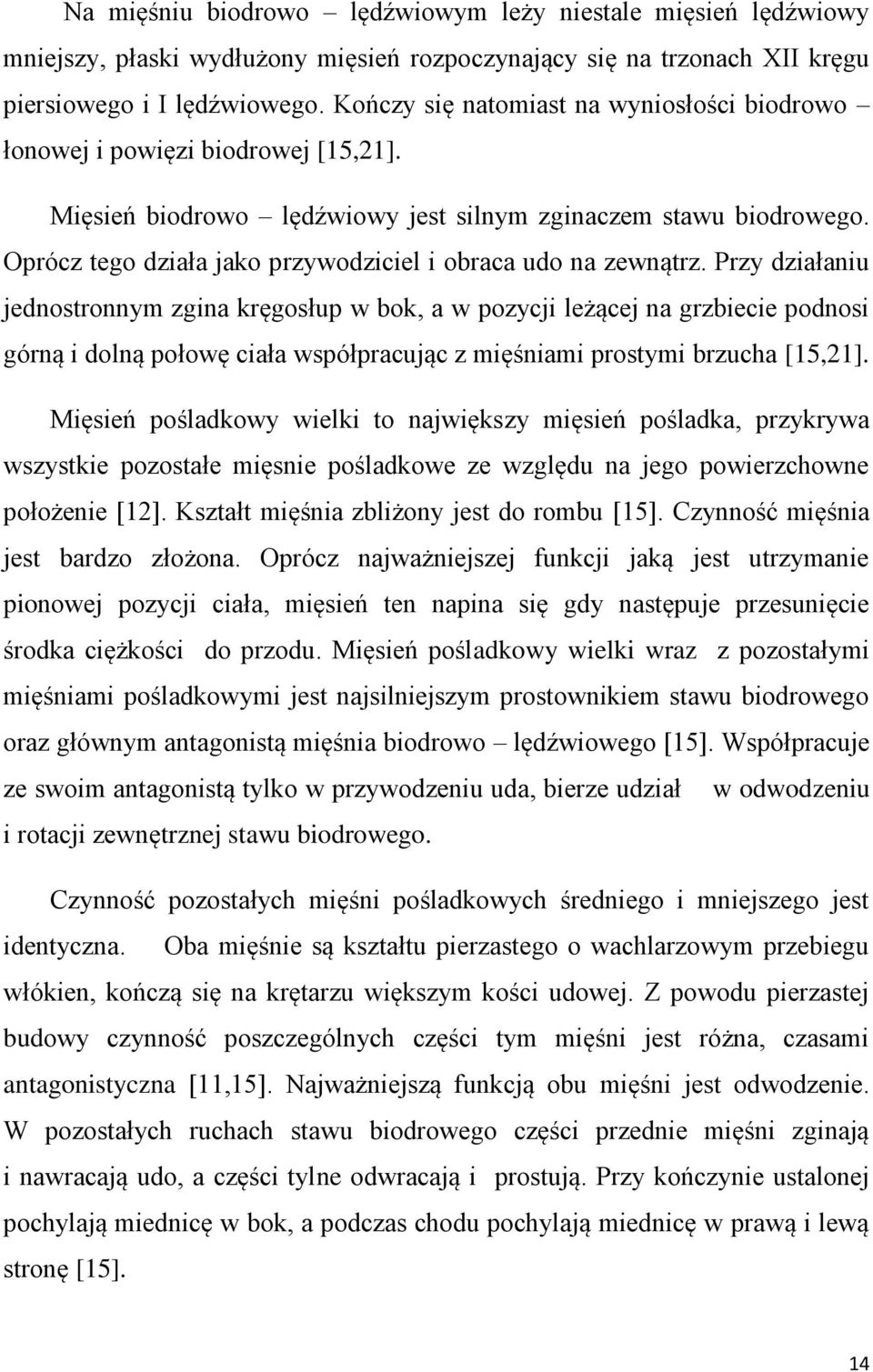 Oprócz tego działa jako przywodziciel i obraca udo na zewnątrz.