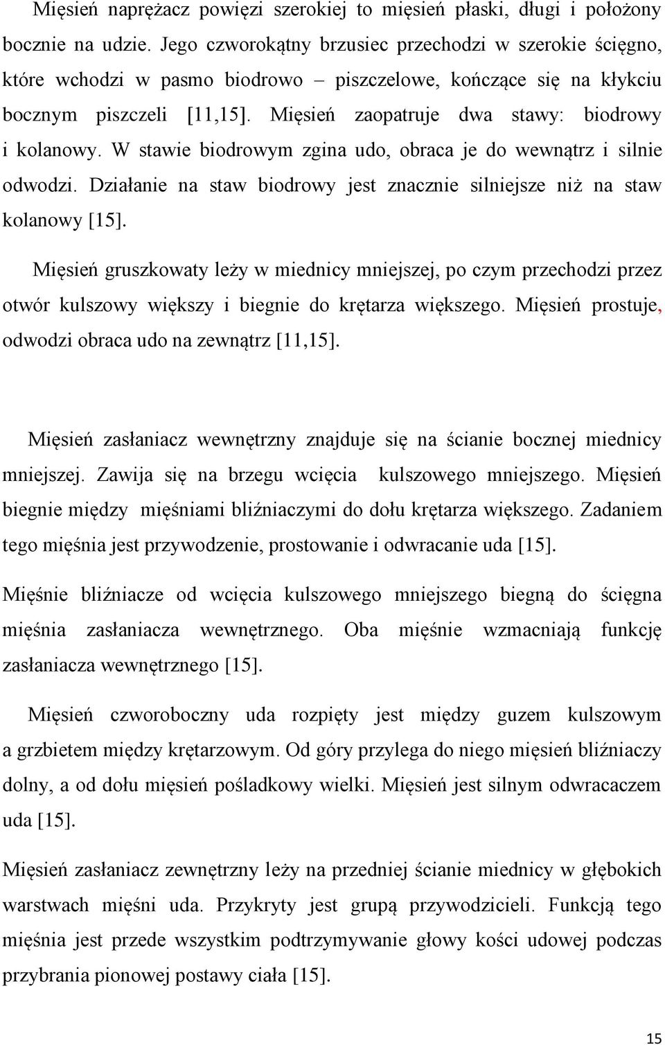 Mięsień zaopatruje dwa stawy: biodrowy i kolanowy. W stawie biodrowym zgina udo, obraca je do wewnątrz i silnie odwodzi. Działanie na staw biodrowy jest znacznie silniejsze niż na staw kolanowy [15].