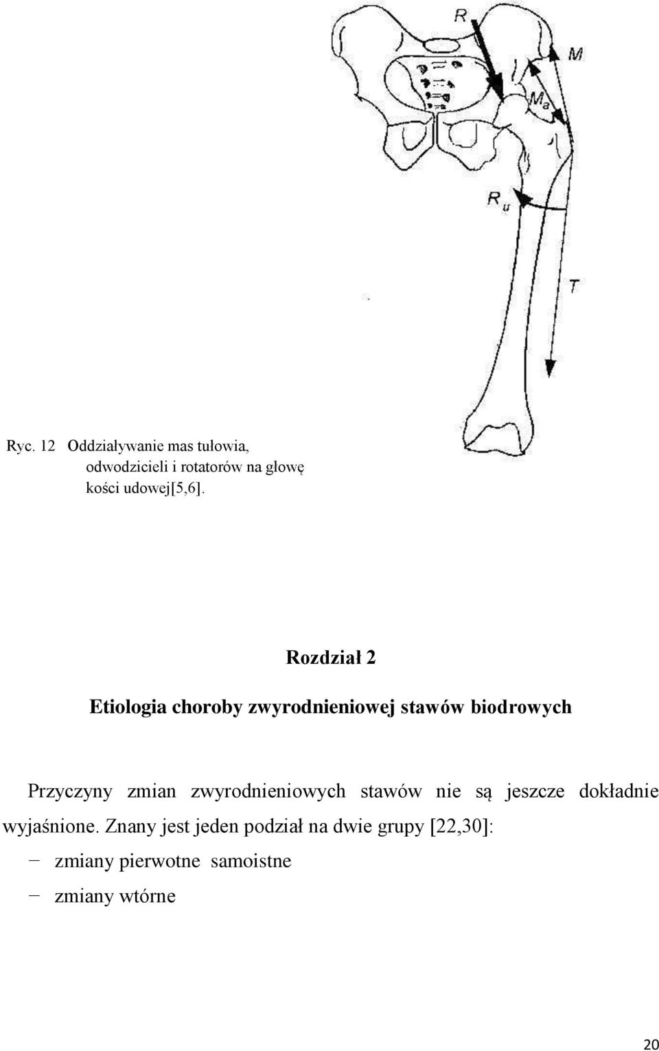 Rozdział 2 Etiologia choroby zwyrodnieniowej stawów biodrowych Przyczyny zmian