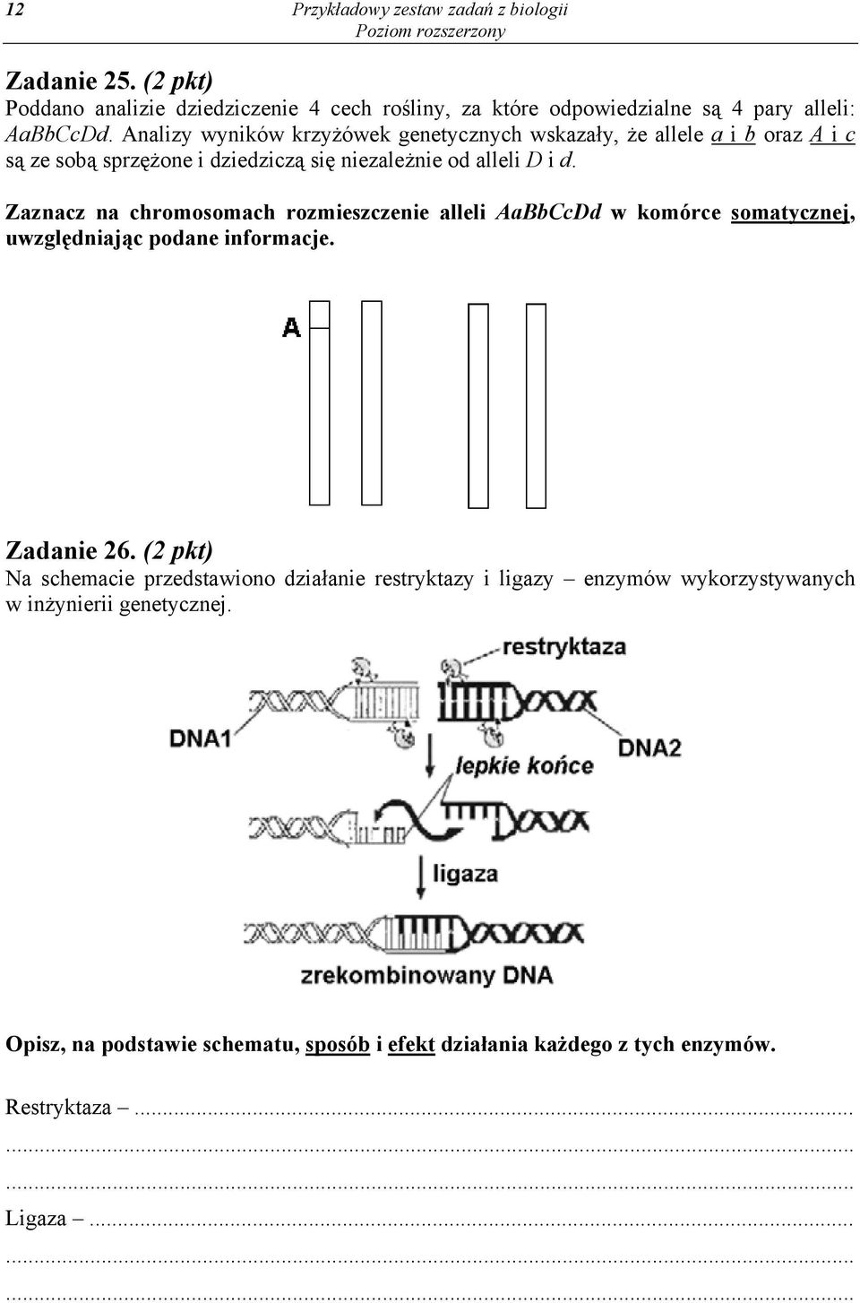 Zaznacz na chromosomach rozmieszczenie alleli AaBbCcDd w komórce somatycznej, uwzględniając podane informacje. Zadanie 26.