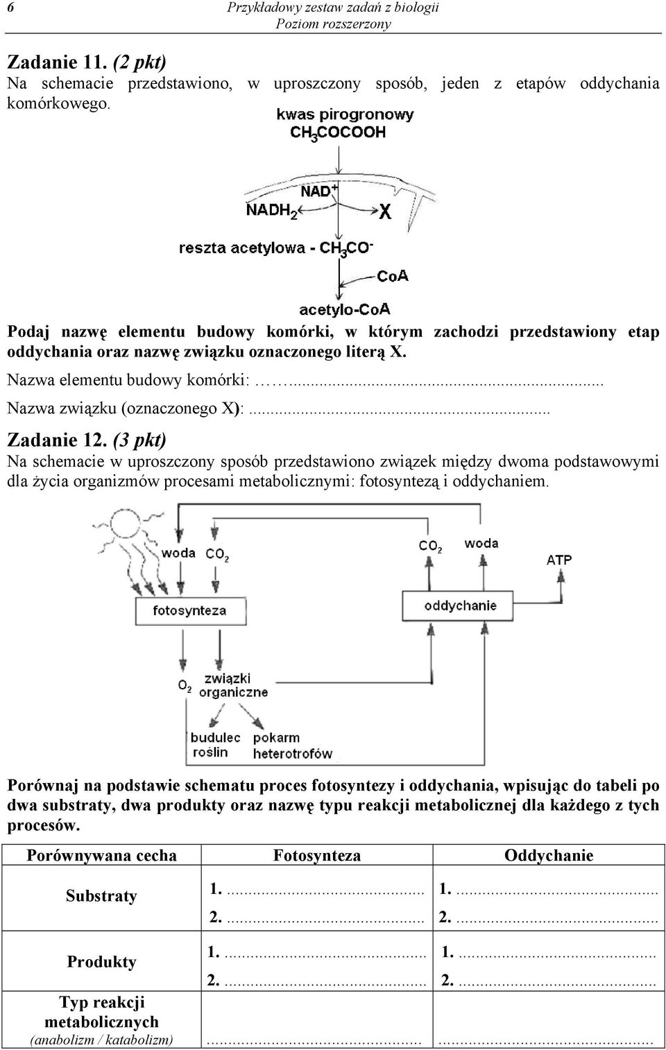 .. Zadanie 12. (3 pkt) Na schemacie w uproszczony sposób przedstawiono związek między dwoma podstawowymi dla życia organizmów procesami metabolicznymi: fotosyntezą i oddychaniem.