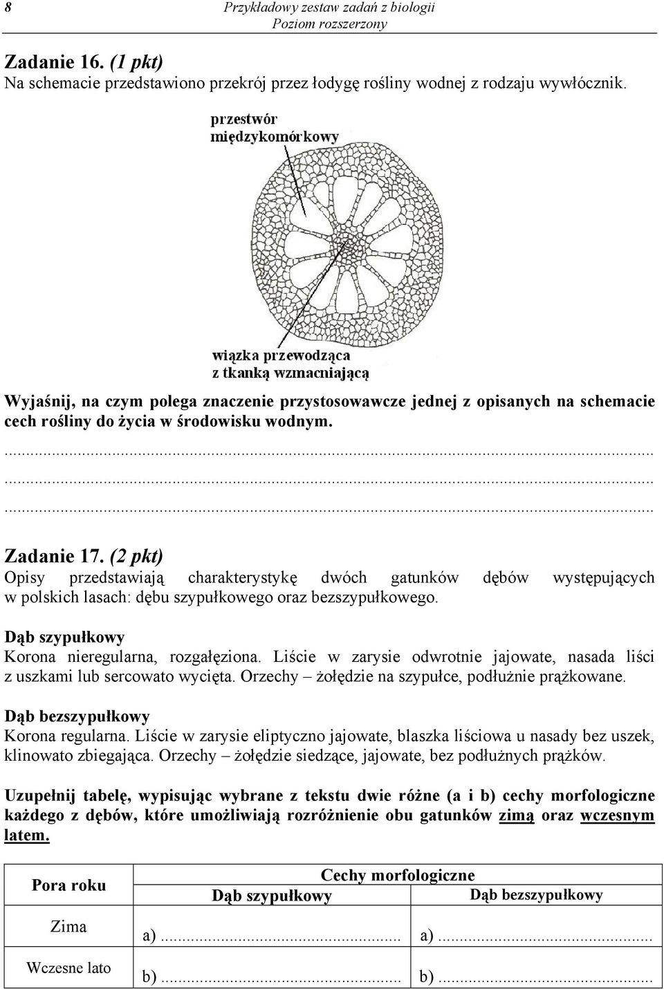 (2 pkt) Opisy przedstawiają charakterystykę dwóch gatunków dębów występujących w polskich lasach: dębu szypułkowego oraz bezszypułkowego. Dąb szypułkowy Korona nieregularna, rozgałęziona.