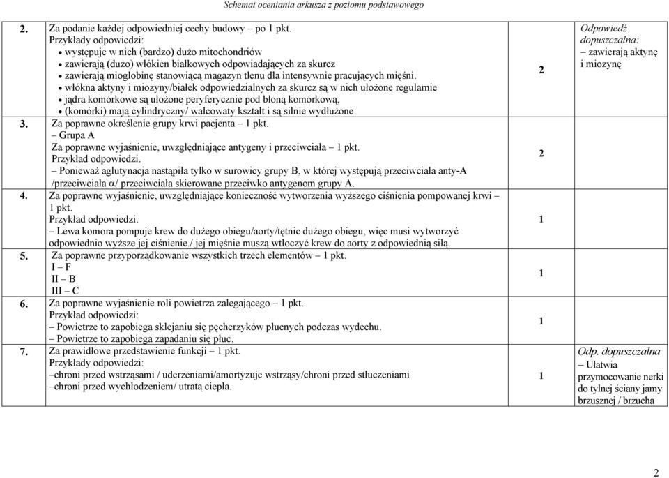 włókna aktyny i miozyny/białek odpowiedzialnych za skurcz są w nich ułożone regularnie jądra komórkowe są ułożone peryferycznie pod błoną komórkową, (komórki) mają cylindryczny/ walcowaty kształt i