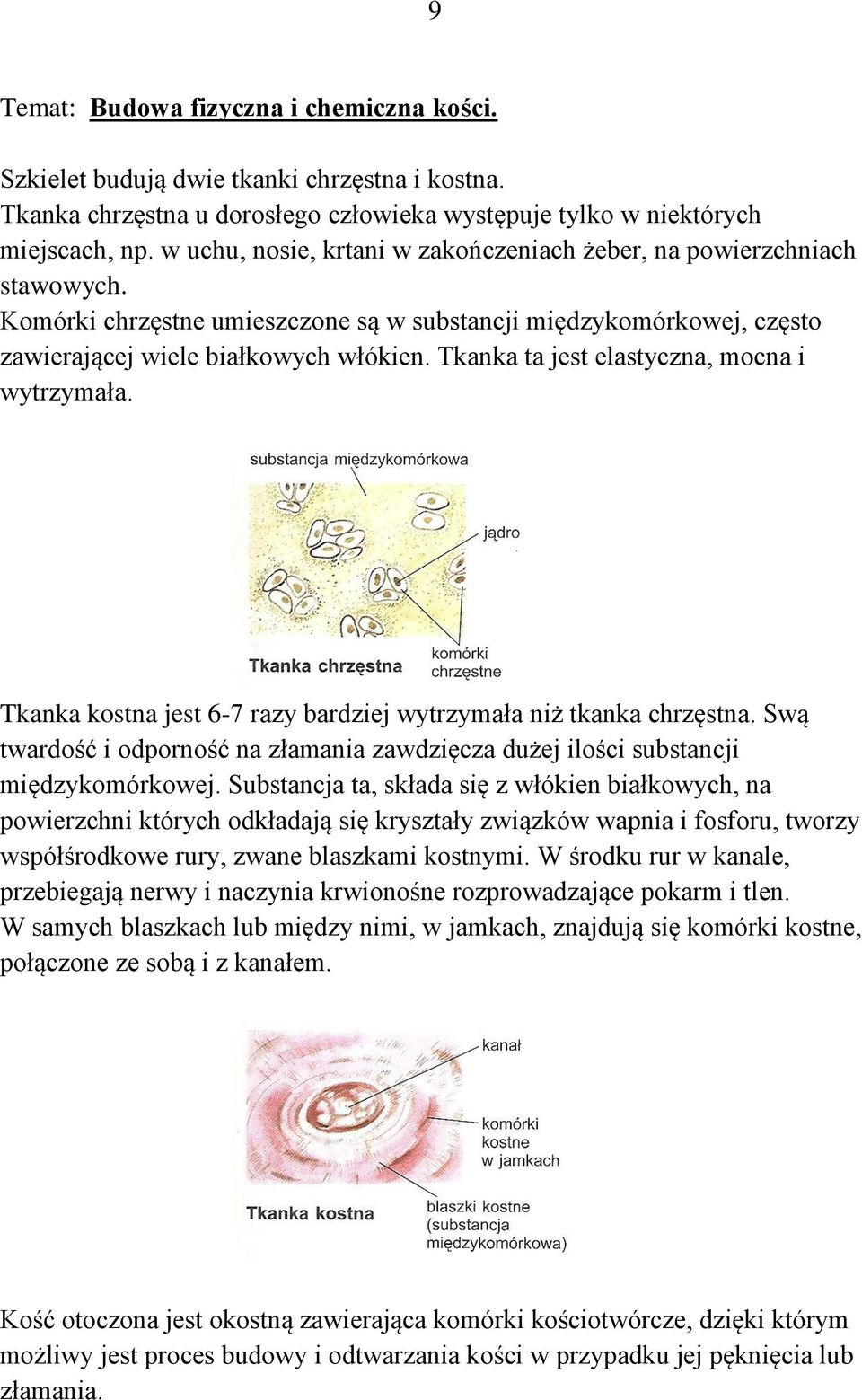 Tkanka ta jest elastyczna, mocna i wytrzymała. Tkanka kostna jest 6-7 razy bardziej wytrzymała niż tkanka chrzęstna.