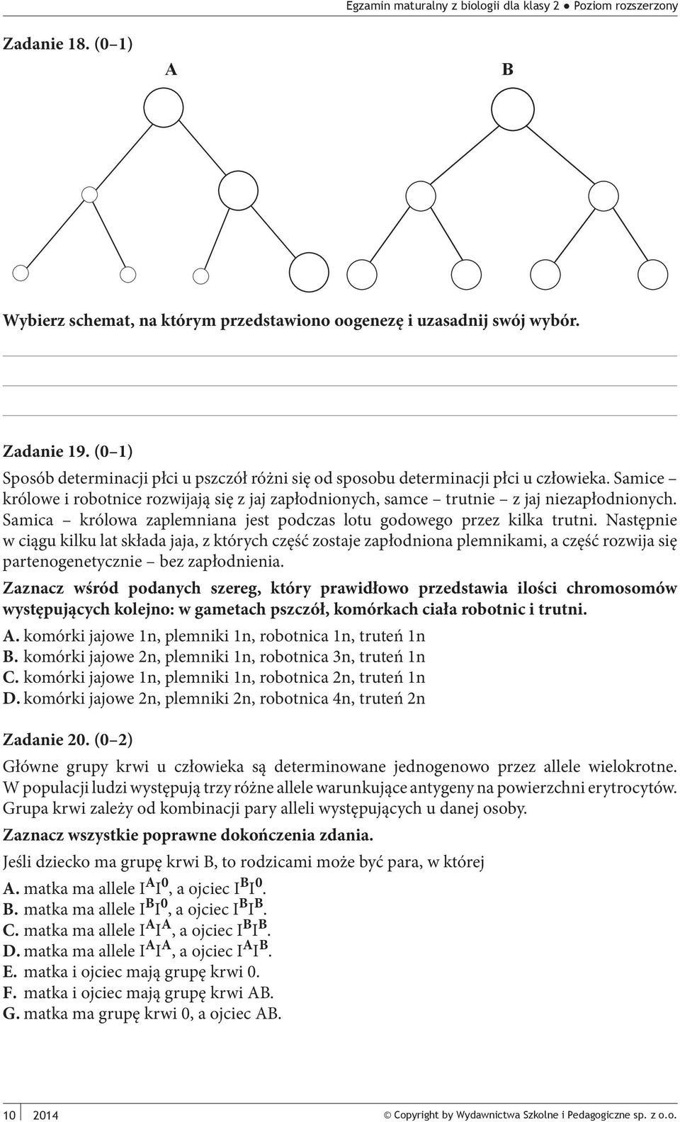 Następnie w ciągu kilku lat składa jaja, z których część zostaje zapłodniona plemnikami, a część rozwija się partenogenetycznie bez zapłodnienia.