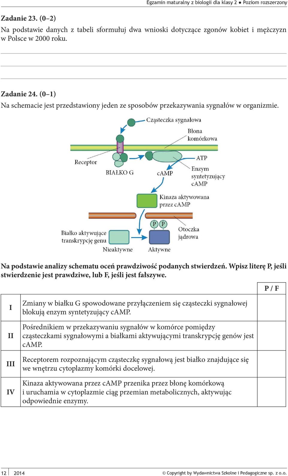Wpisz literę P, jeśli stwierdzenie jest prawdziwe, lub F, jeśli jest fałszywe. P / F I II III IV Zmiany w białku G spowodowane przyłączeniem się cząsteczki sygnałowej blokują enzym syntetyzujący camp.