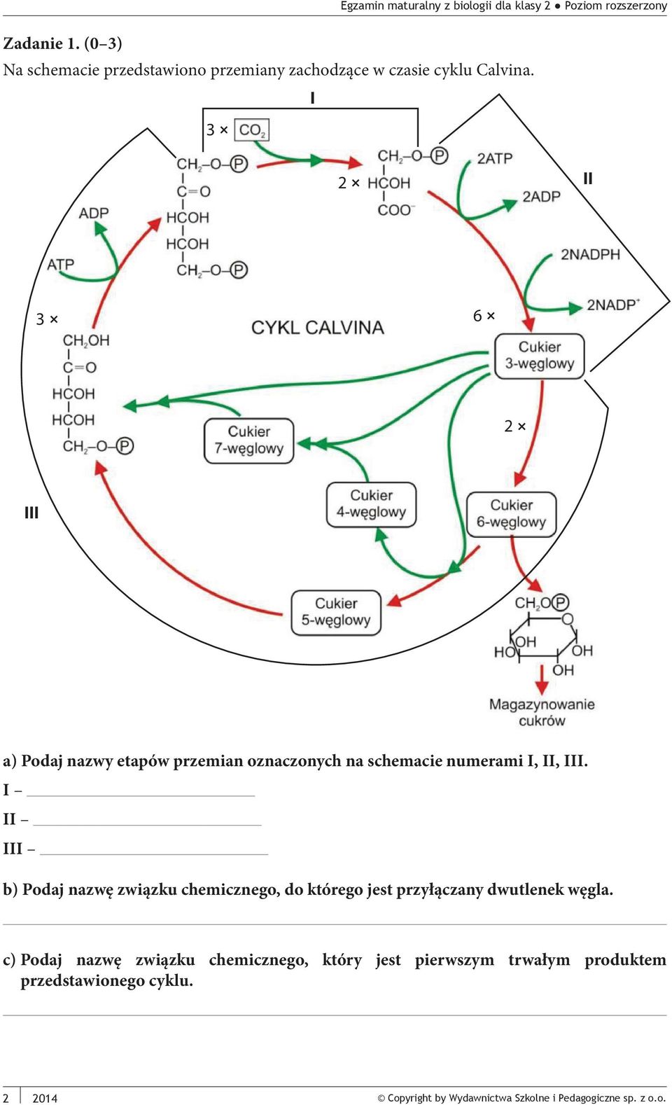 I II III b) Podaj nazwę związku chemicznego, do którego jest przyłączany dwutlenek węgla.