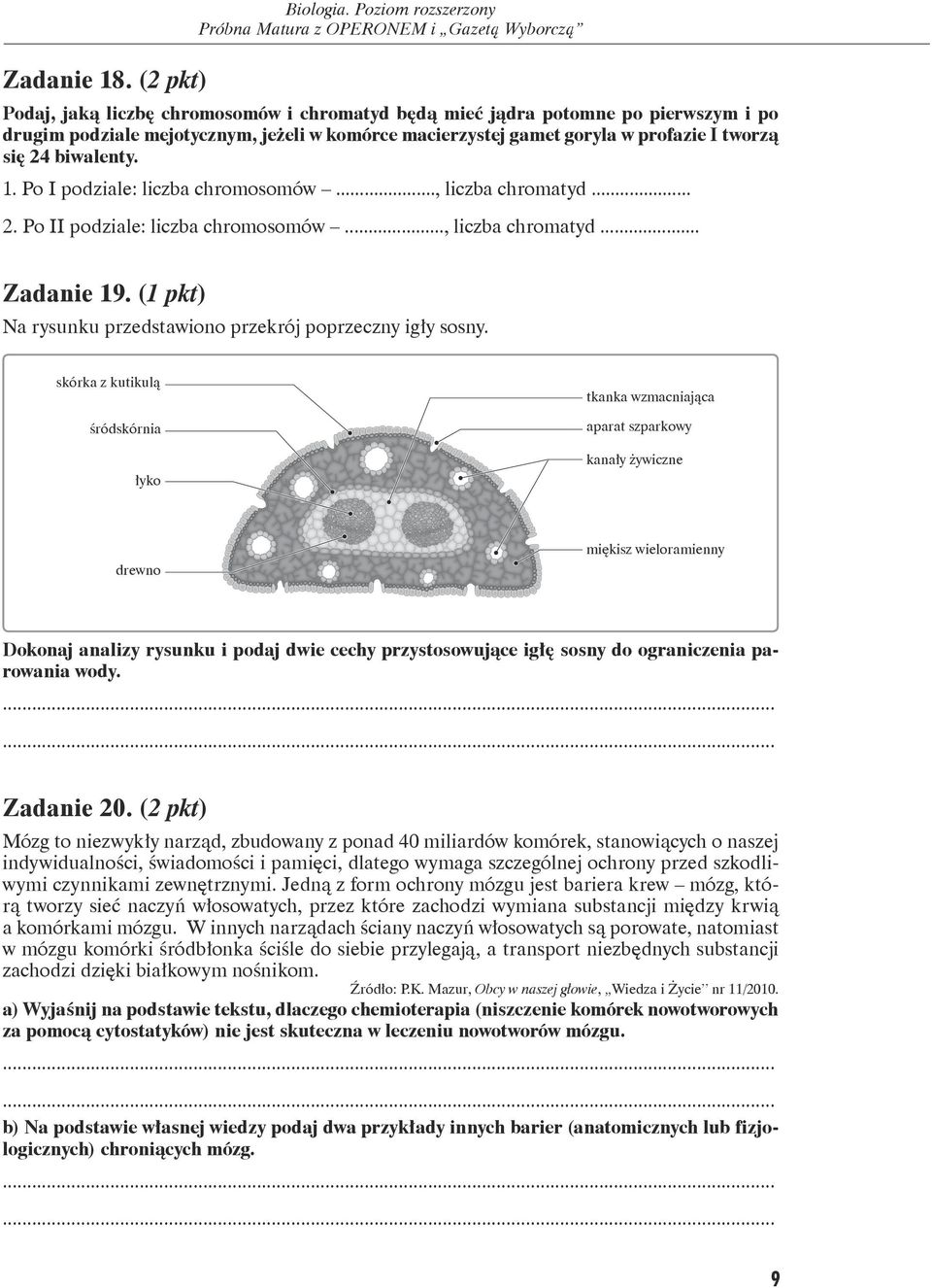 biwalenty. 1. Po I podziale: liczba chromosomów..., liczba chromatyd... 2. Po II podziale: liczba chromosomów..., liczba chromatyd... Zadanie 19.