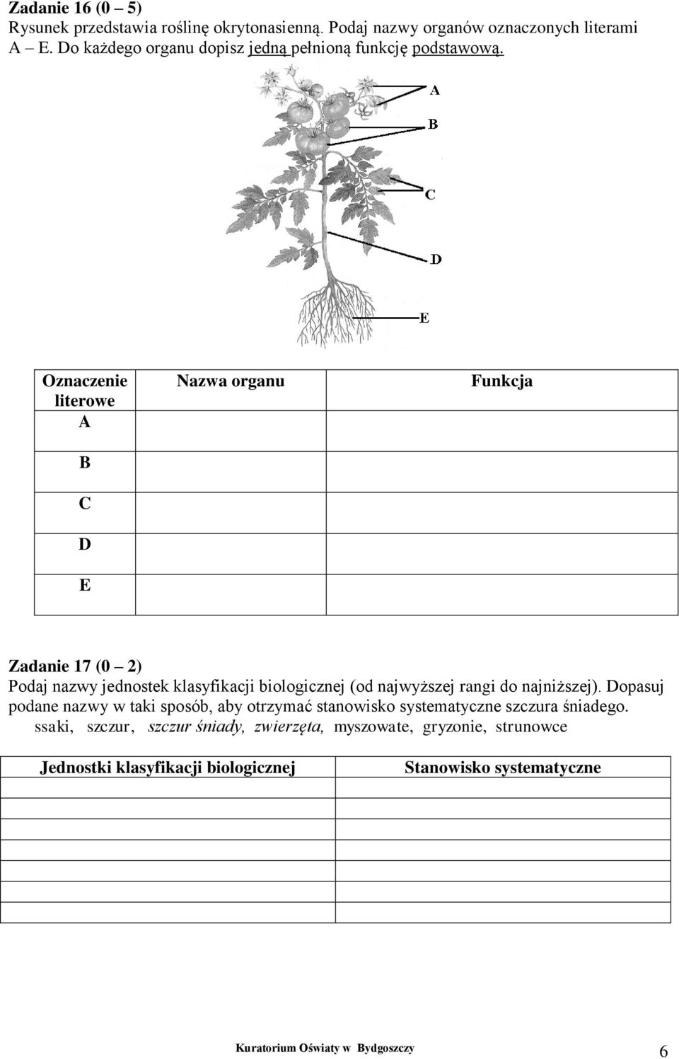 Oznaczenie literowe A B C D E Nazwa organu Funkcja Zadanie 17 (0 2) Podaj nazwy jednostek klasyfikacji biologicznej (od najwyższej rangi