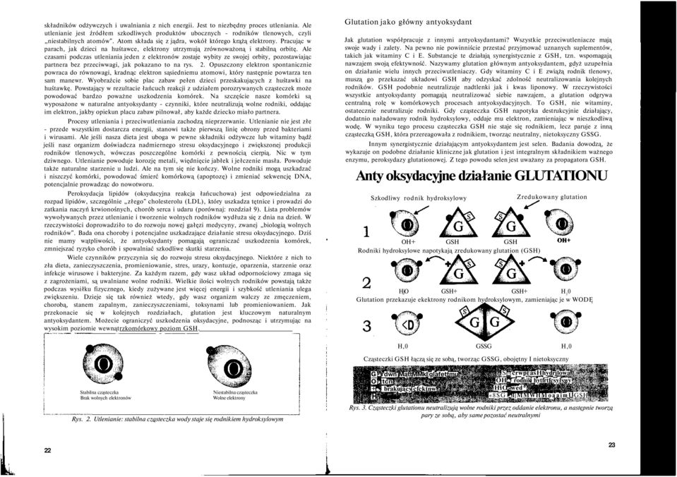 Ale czasami podczas utleniania jeden z elektronów zostaje wybity ze swojej orbity, pozostawiając partnera bez przeciwwagi, jak pokazano to na rys. 2.