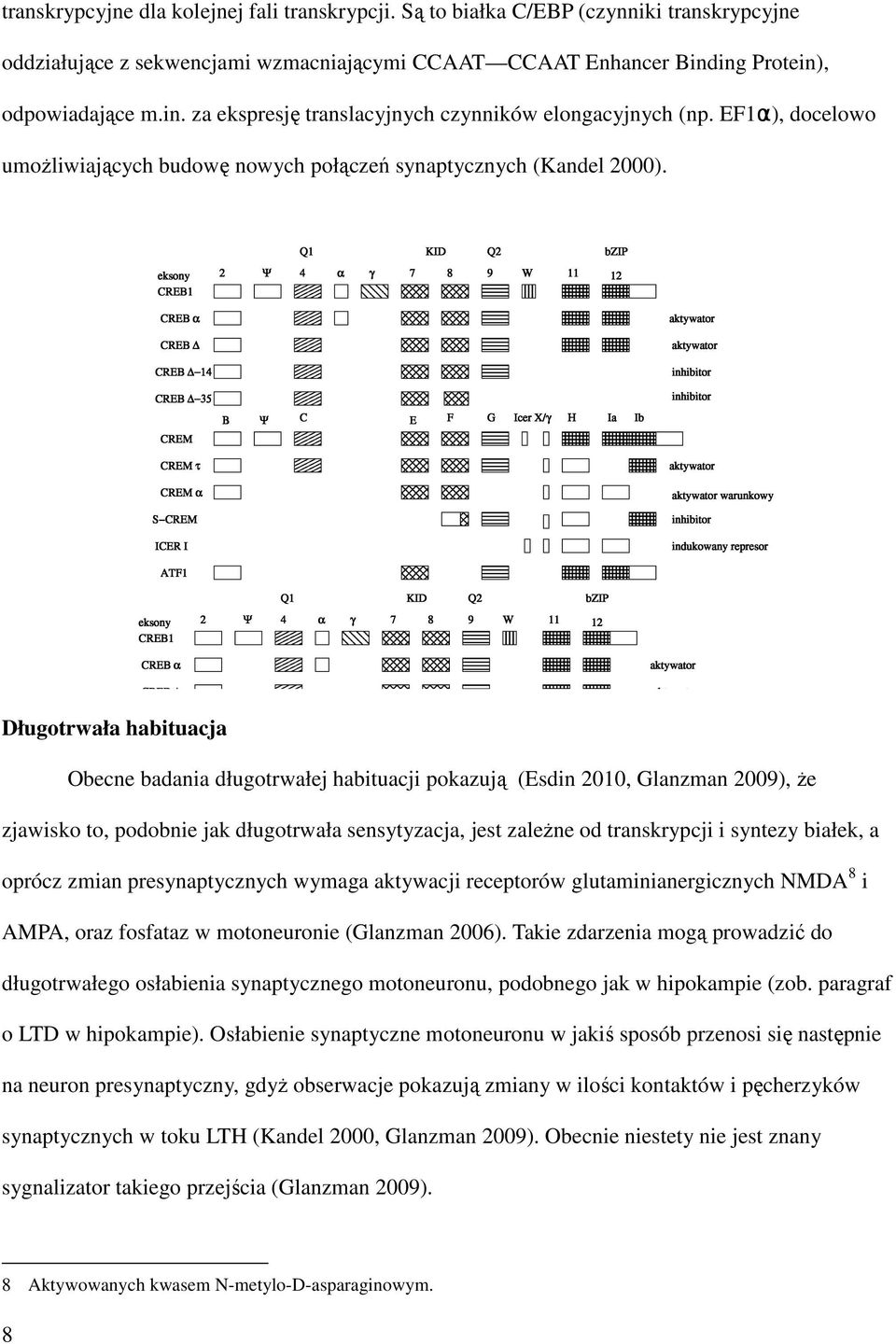 Długotrwała habituacja Obecne badania długotrwałej habituacji pokazują (Esdin 2010, Glanzman 2009), że zjawisko to, podobnie jak długotrwała sensytyzacja, jest zależne od transkrypcji i syntezy