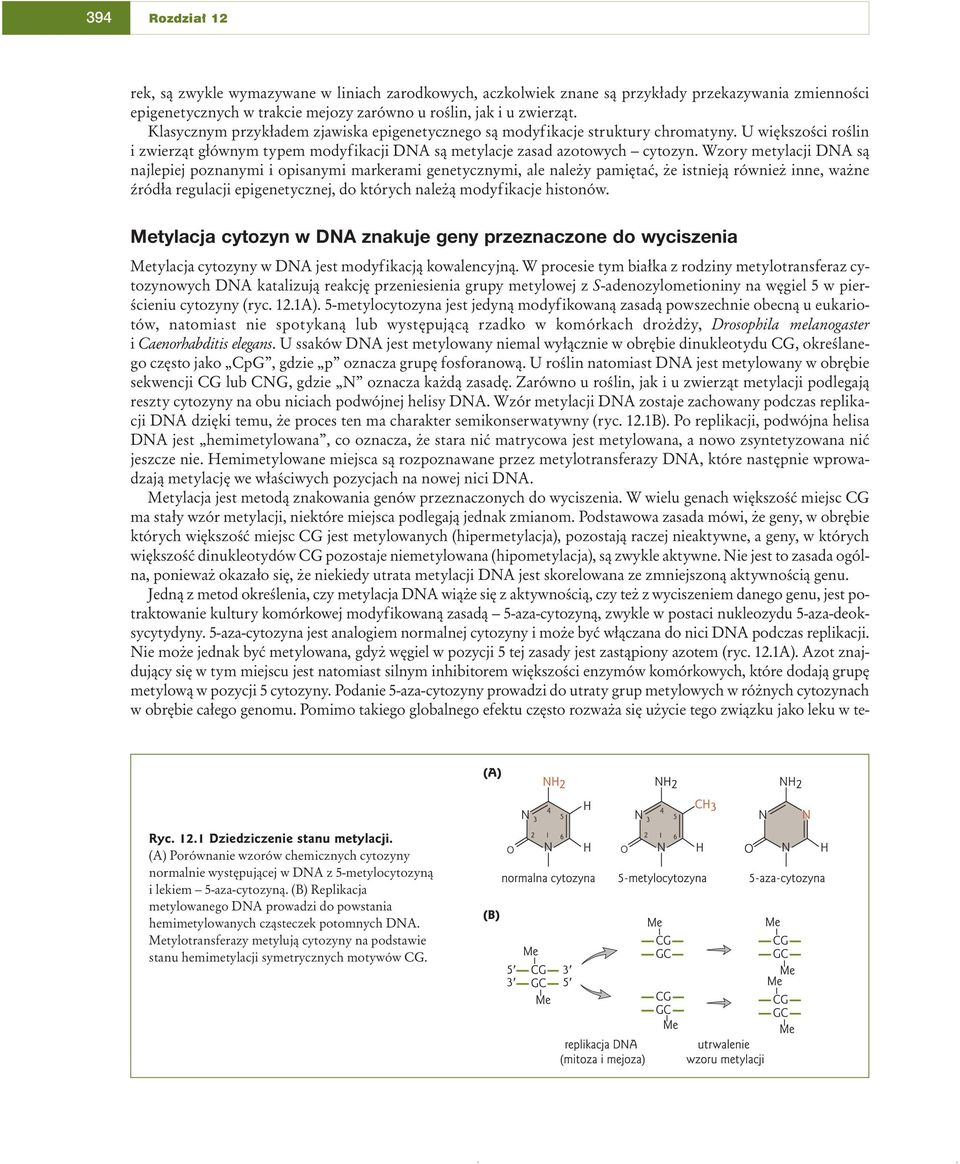 Wzory metylacji DNA są najlepiej poznanymi i opisanymi markerami genetycznymi, ale należy pamiętać, że istnieją również inne, ważne źródła regulacji epigenetycznej, do których należą modyfikacje