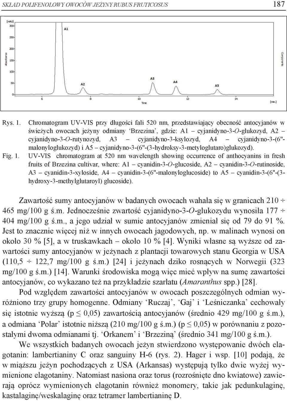 Chromatogram UV-VIS przy długości fali 520 nm, przedstawiający obecność antocyjanów w świeżych owocach jeżyny odmiany Brzezina, gdzie: A1 cyjanidyno-3-o-glukozyd, A2 cyjanidyno-3-o-rutynozyd, A3