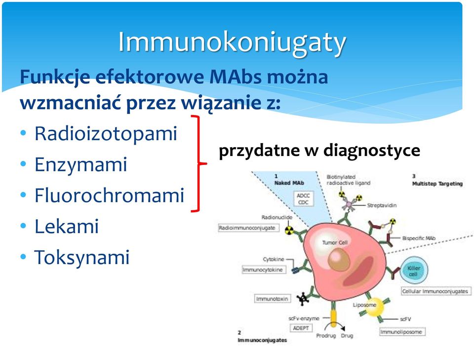 Radioizotopami Enzymami Fluorochromami